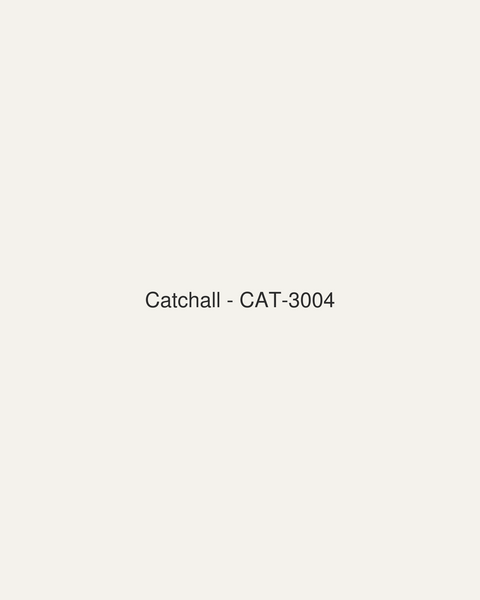 Catchall (CAT-3004)