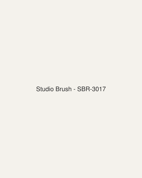 Studio Brush (SBR-3017)