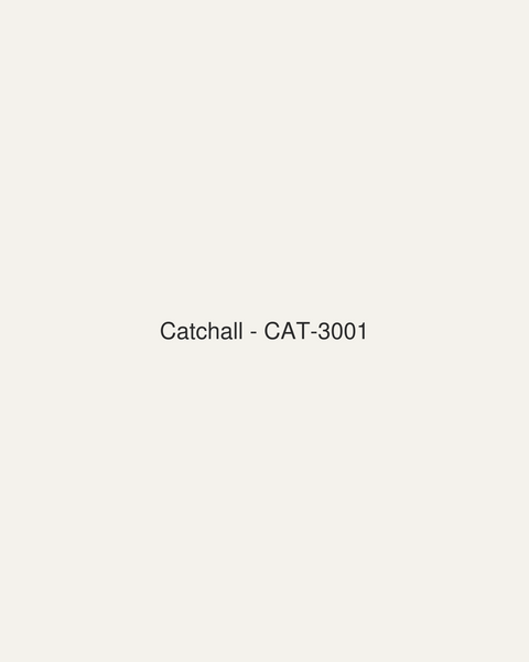 Catchall (CAT-3001)