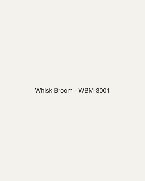 Whisk Broom (WBM-3001)