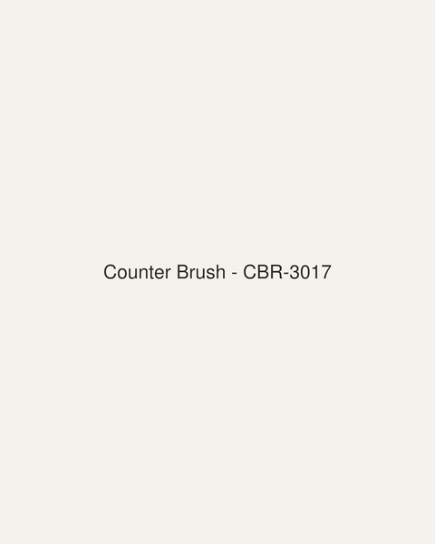 Counter Brush (CBR-3017)