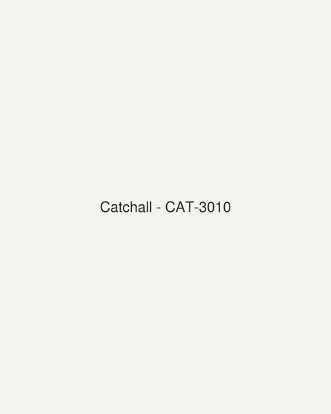 Catchall (CAT-3010)