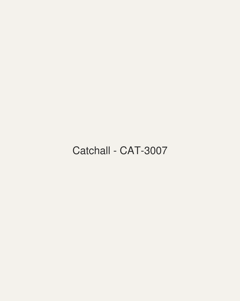 Catchall (CAT-3007)