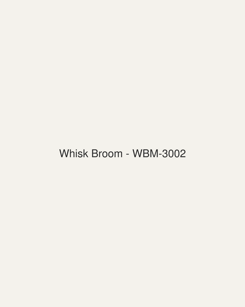 Whisk Broom (WBM-3002)