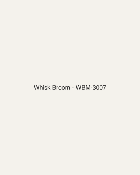 Whisk Broom (WBM-3007)